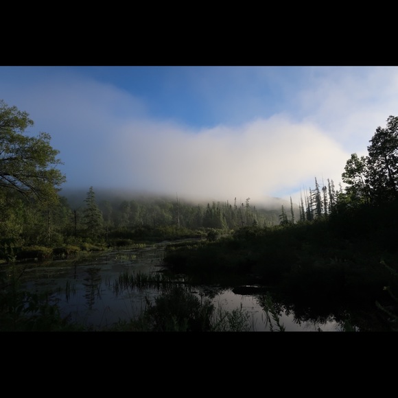 Meet your Posher, Jessica - Picture 2 of 2